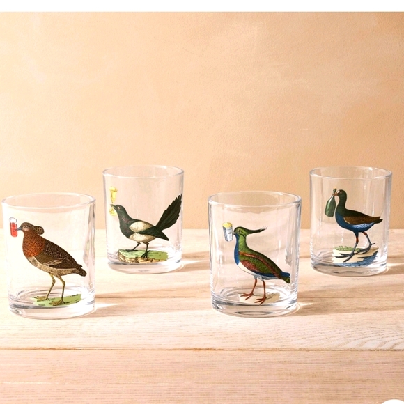 John Derian Bird Cocktail Highball Bar Drinking Glasses set of 4 - Picture 2 of 8